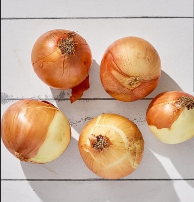 Wholesale Premium Fresh Onions (Yellow, Red, White, Purple) | Bulk Exporter